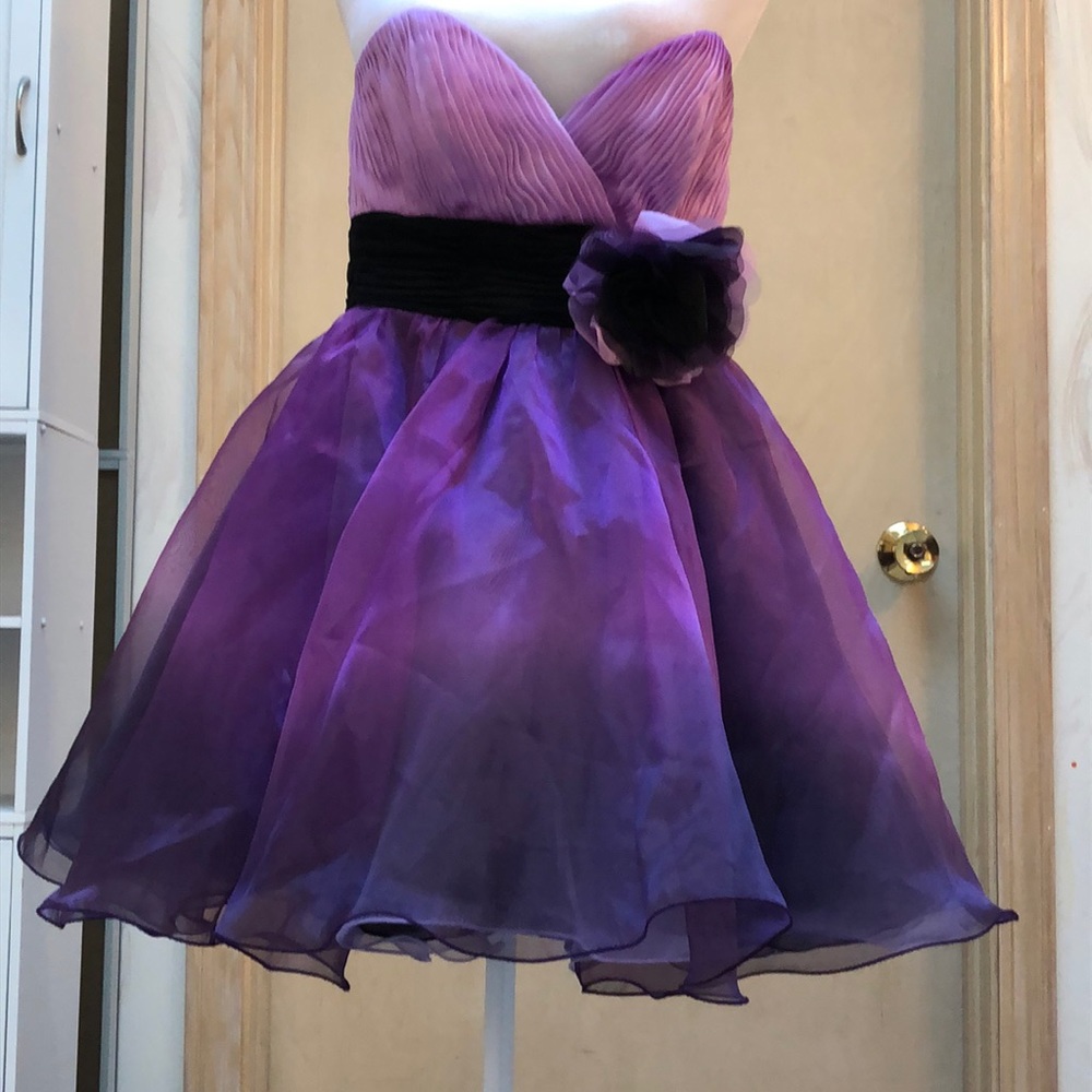 Purple full netted skirt mini